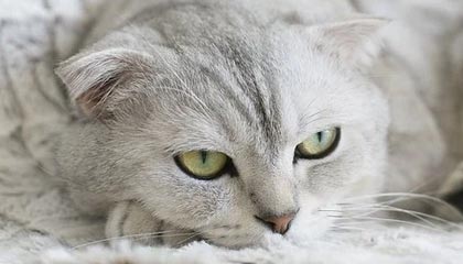 米兰体育下载-大连一方将面对武汉卓尔，双方对决不容错失胜利机会！，大连卓尔教育