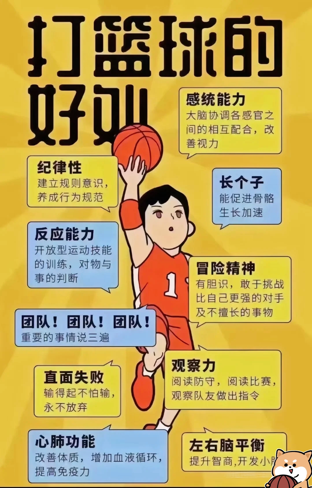 关于特色篮球训练课程助推青少年身心健康发展的信息